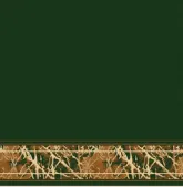 E Green (Modern Polos) - Nabaataa Karpet